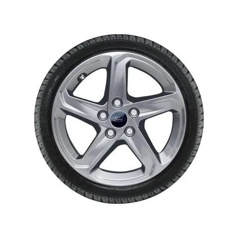 Roue complète hiver alliage 16 Modèle à 5 branches argent