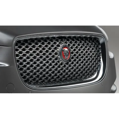 Grille avant chromée pour véhicule équipé avec la caméra et le régulateur de vitesse adaptatif. pour XE