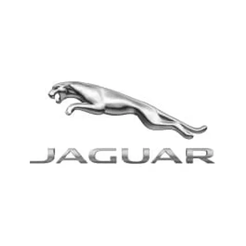 Arceaux de protection - Kit, fibre de carbone pour F-Type