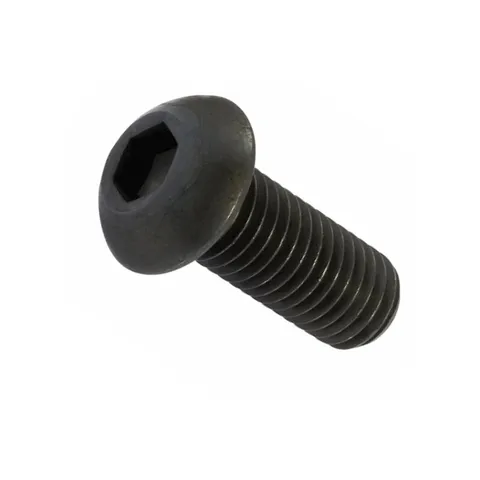 BMW Vis à tête bombée noire (M6X16)