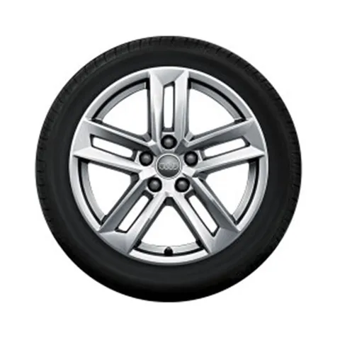 Roue complète hiver style 5 branches parallèles argent brillant, 7 J x 17, 225/50 R 17 98H XL, gauche