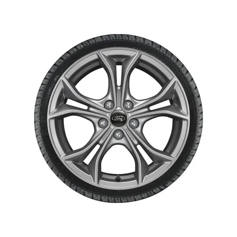 Roue complète hiver alliage 17 Modèle à 5 x 2 branches en Y argent