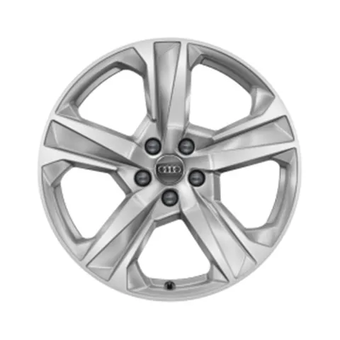 Roue hiver en fonte d'aluminium style 5 branches style dynamique