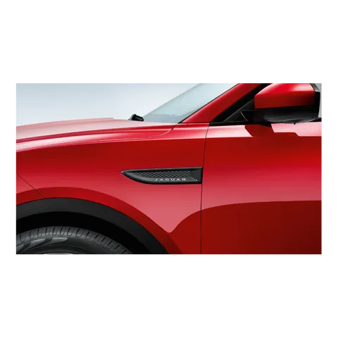 Ouïes latérales - Fibre de carbone, côté gauche POUR E-PACE