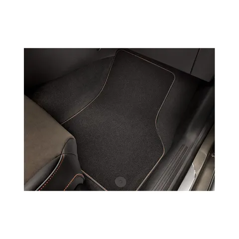 Tapis leon X-PERIENCE