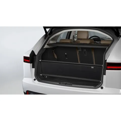 Système de retenue amovible pour bagages