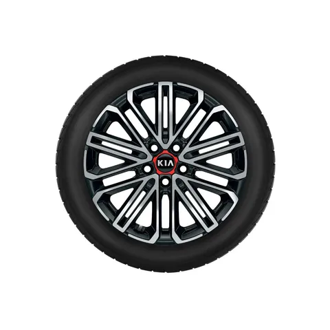 Roue complète hiver avec jante alliage 18 + TPMS