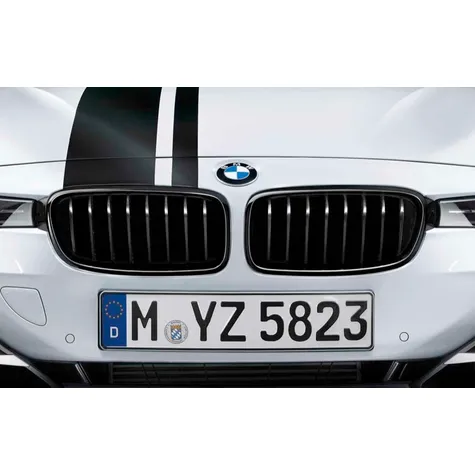 Grilles de calandre pour BMW Série 3 F30/F31