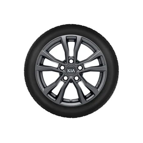 Roue complète hiver avec jante alliage 16 + TPMS