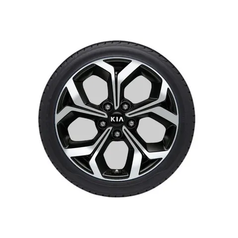 Roue complète hiver avec jante alliage 17 + TPMS