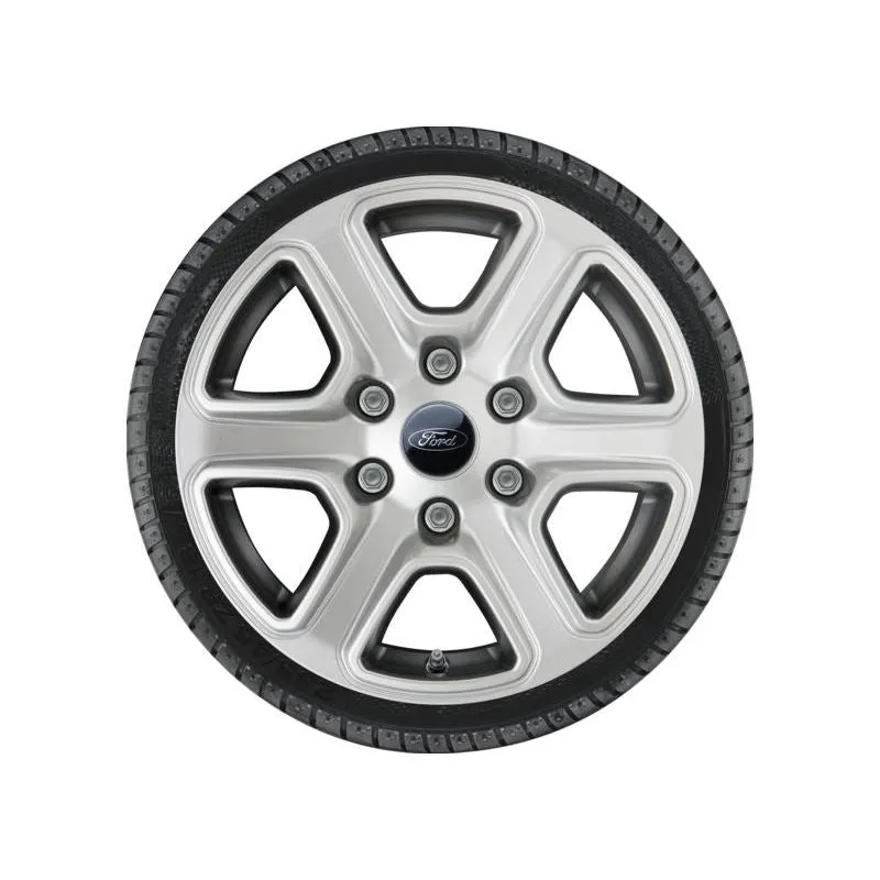 RANGER ROUE COMPLÈTE HIVER ALLIAGE 17 DESIGN 6 BRANCHES ARGENT 2019 FORD