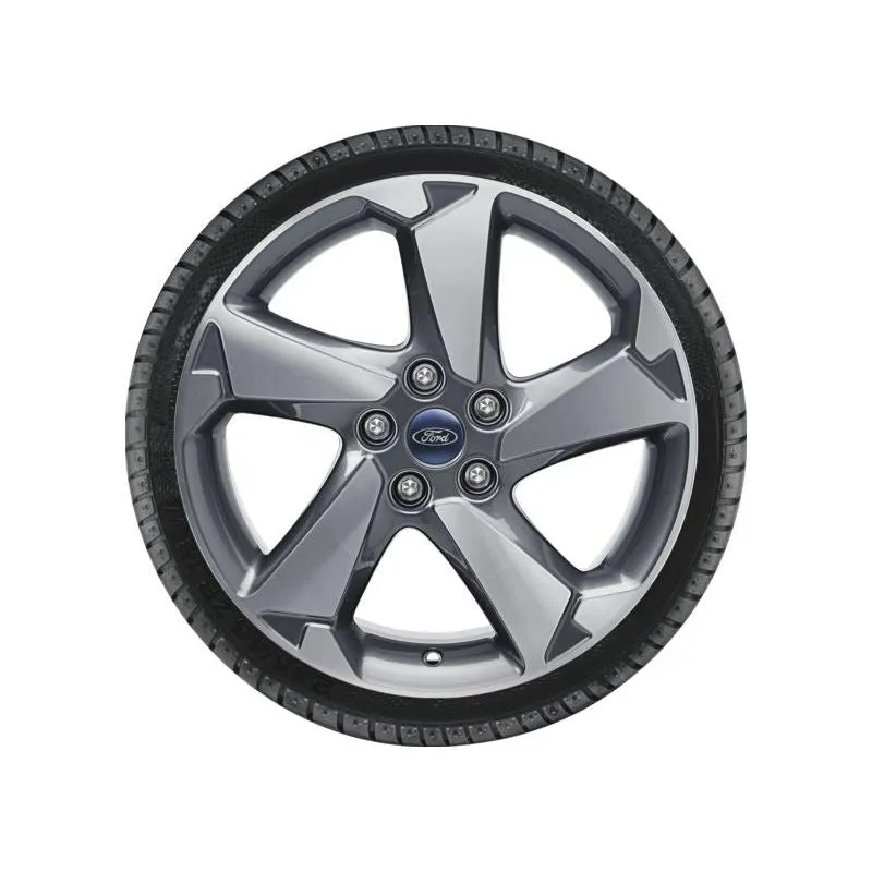 ROUE COMPLÈTE HIVER ALLIAGE 17 DESIGN 5 BRANCHES ARGENT FORD