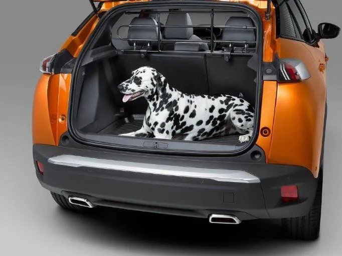 GRILLE PARE-CHIEN UNIVERSELLE METALLIQUE PEUGEOT