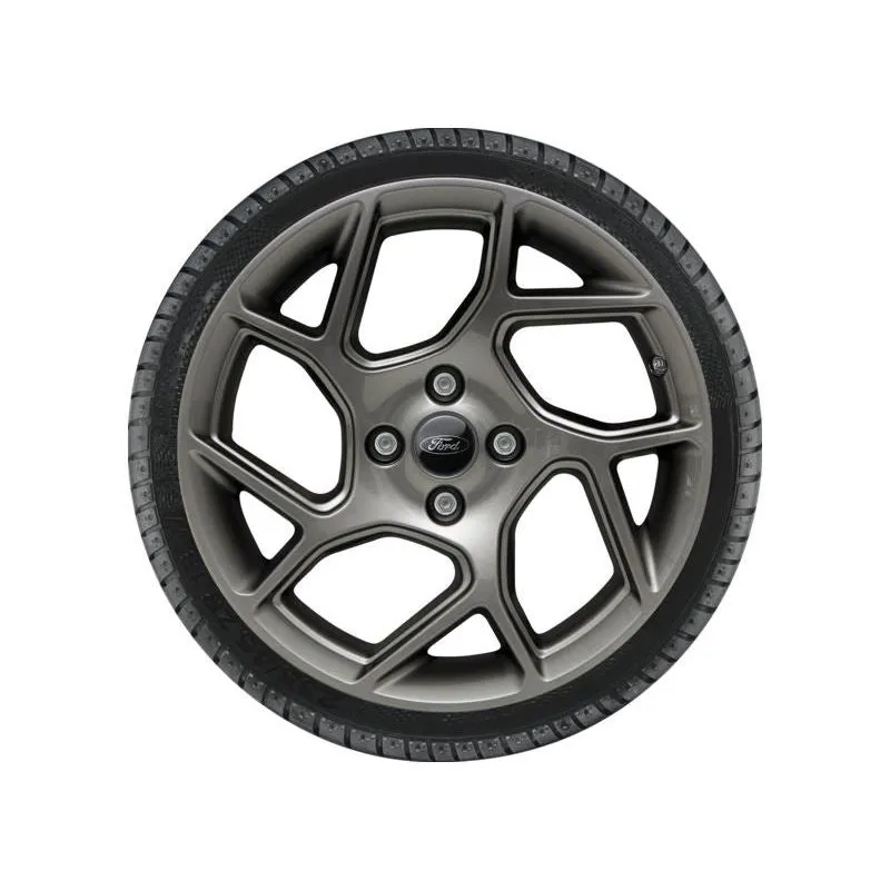 ROUE COMPLÈTE HIVER ALLIAGE 17 MODÈLE À 12 BRANCHES EN Y ANTHRACITE FORD