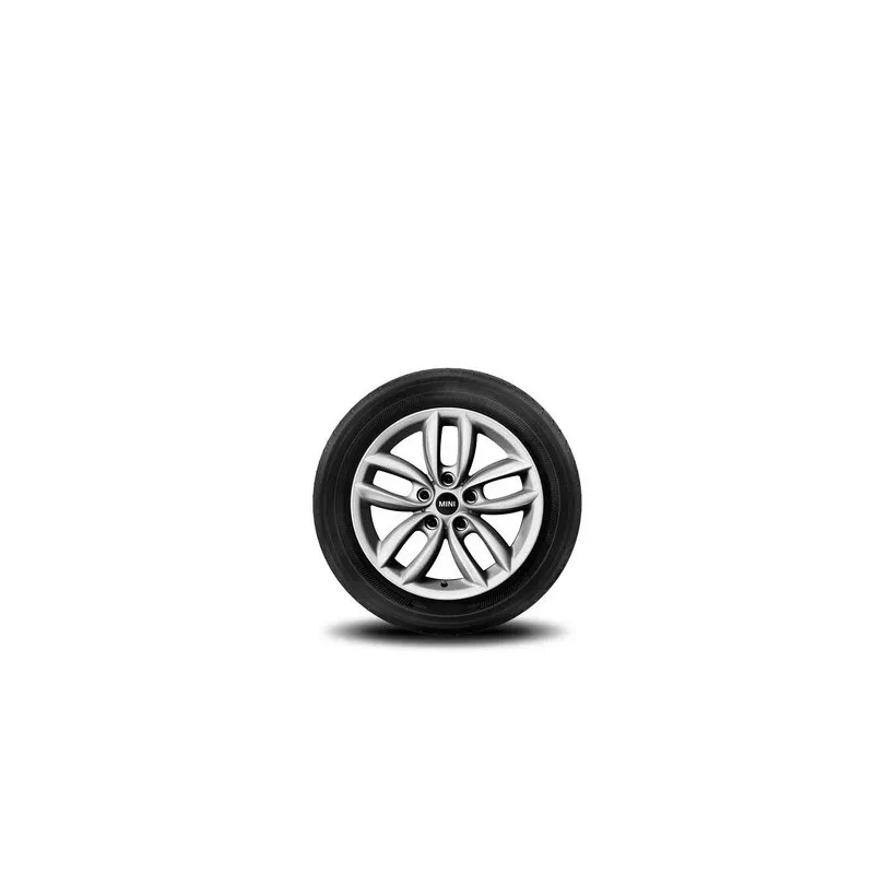 17" RAYONS DOUBLES R124 MINI