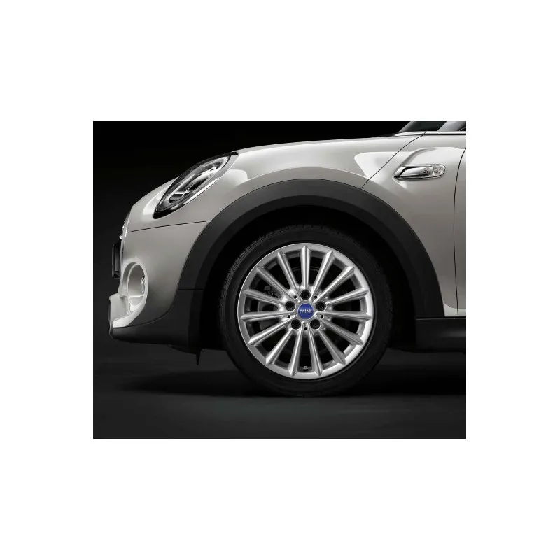 17" RAYONS RADIAUX 505 EN ARGENT MÉTALLISÉ MINI