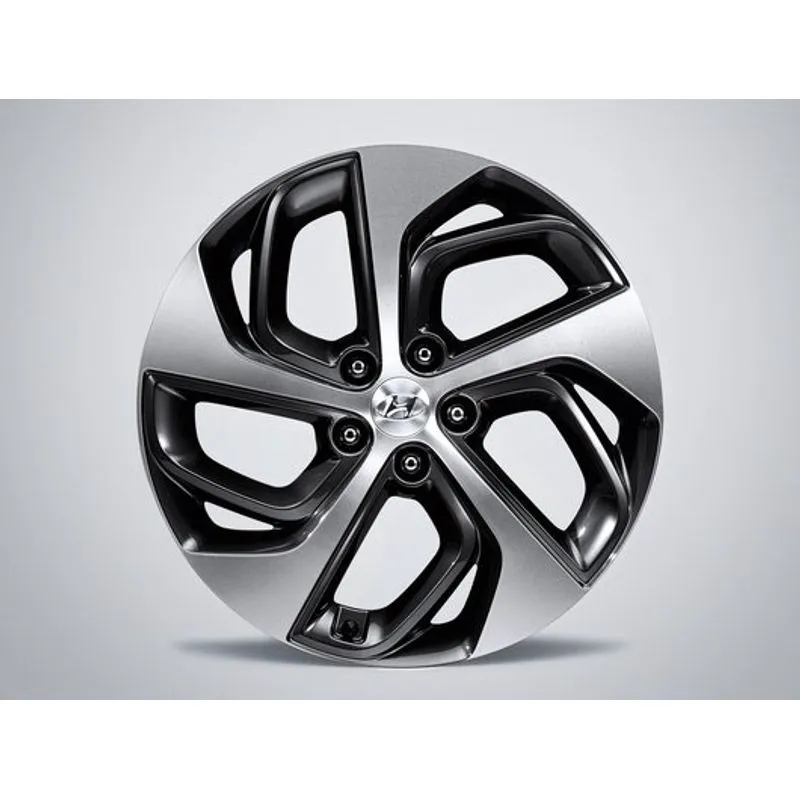 KIT DE ROUE EN ALLIAGE DE 19 POUCES HYUNDAI