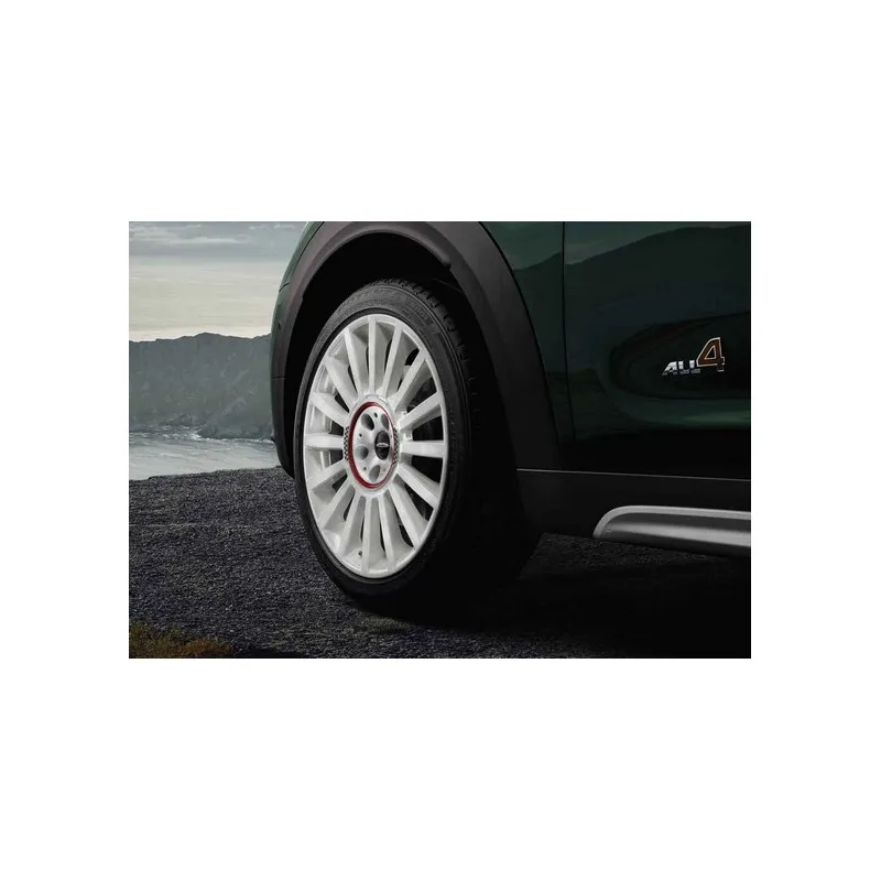 19'' RALLYE SPOKE 536 MINI