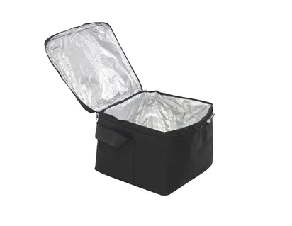 SAC ISOTHERME SOUPLE FORD