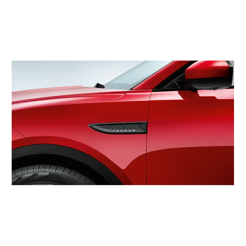 OUÏES LATÉRALES - FIBRE DE CARBONE, CÔTÉ GAUCHE POUR E-PACE JAGUAR