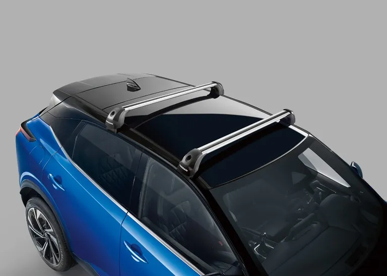 BARRES DE TOIT EASYFIX NISSAN