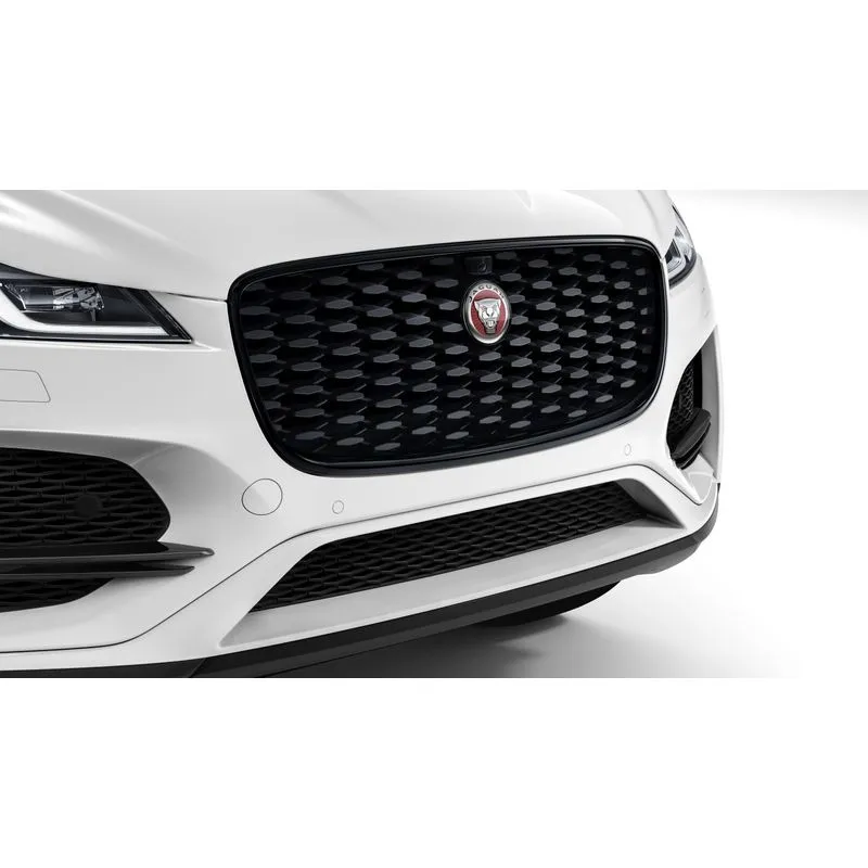 INSERT ET CONTOUR DE CALANDRE GLOSS BLACK JAGUAR
