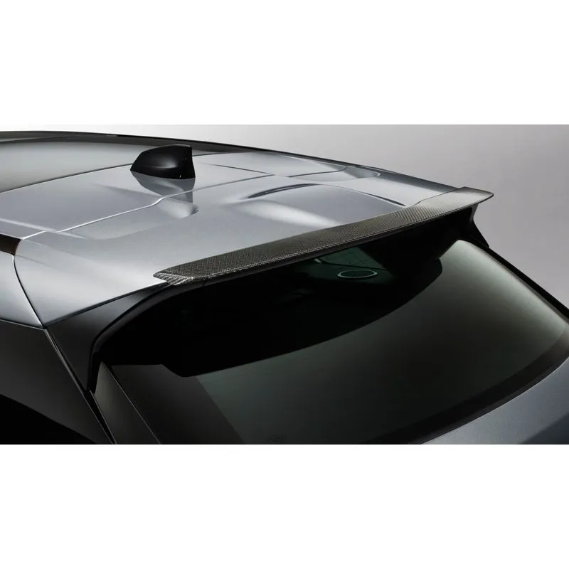 BECQUET ARRIÈRE SPORT - FIBRE DE CARBONE LAND ROVER