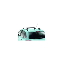 Jeu de tapis de sol en caoutchouc Citroën C3 (A51)
