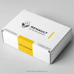 Enjoliveurs 15 pouces NUTA gris clair avec logo Renault pour TWINGO III -  Retail Renault Group