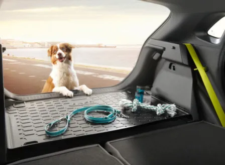7 astuces pour transporter son chien en toute sécurité à bord de sa Hyundai !
