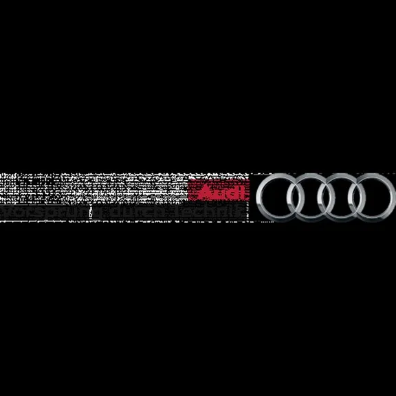 Boulons antivol de roues - Accessoires Audi